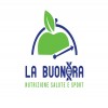 immagine profilo